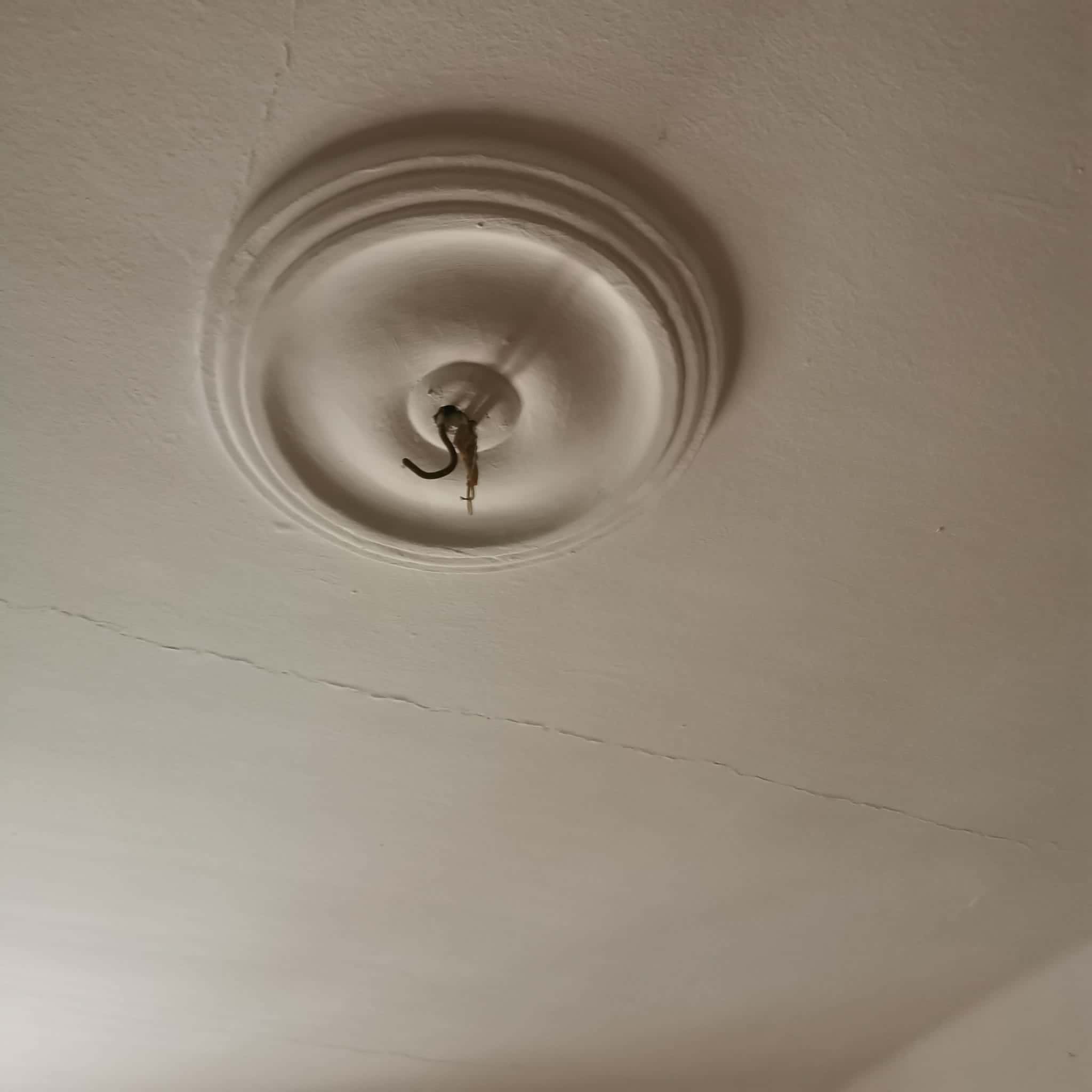 Punto de luz preparado en techo con roseta para nueva instalación